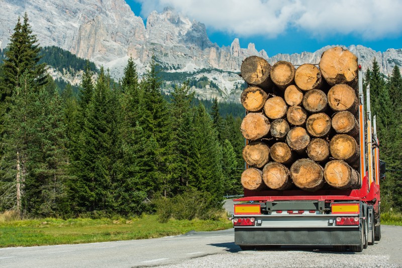 rear of logging truck with mountain backdrop