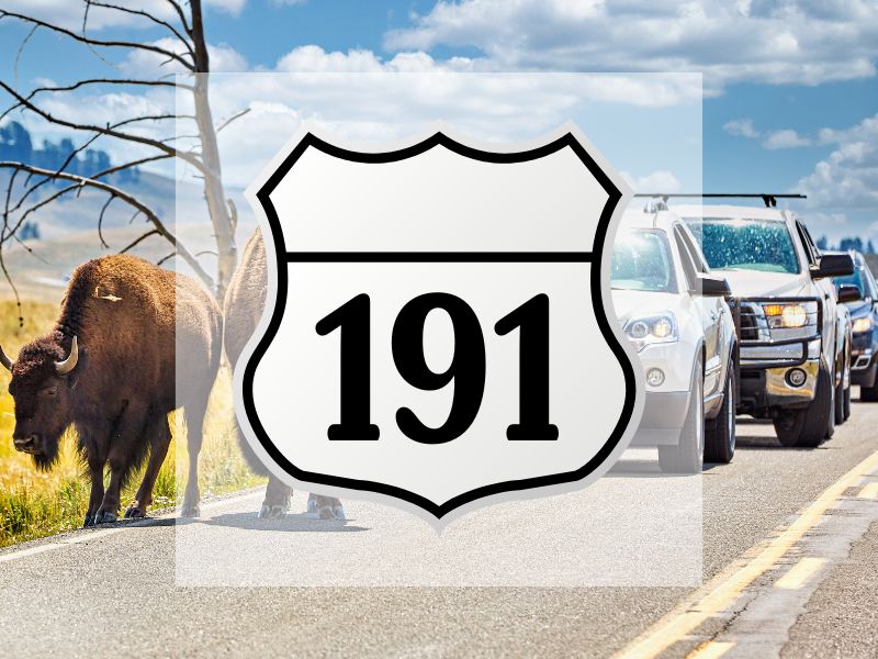 US-191 road sign with yellowstone road background with bison and cars lined up